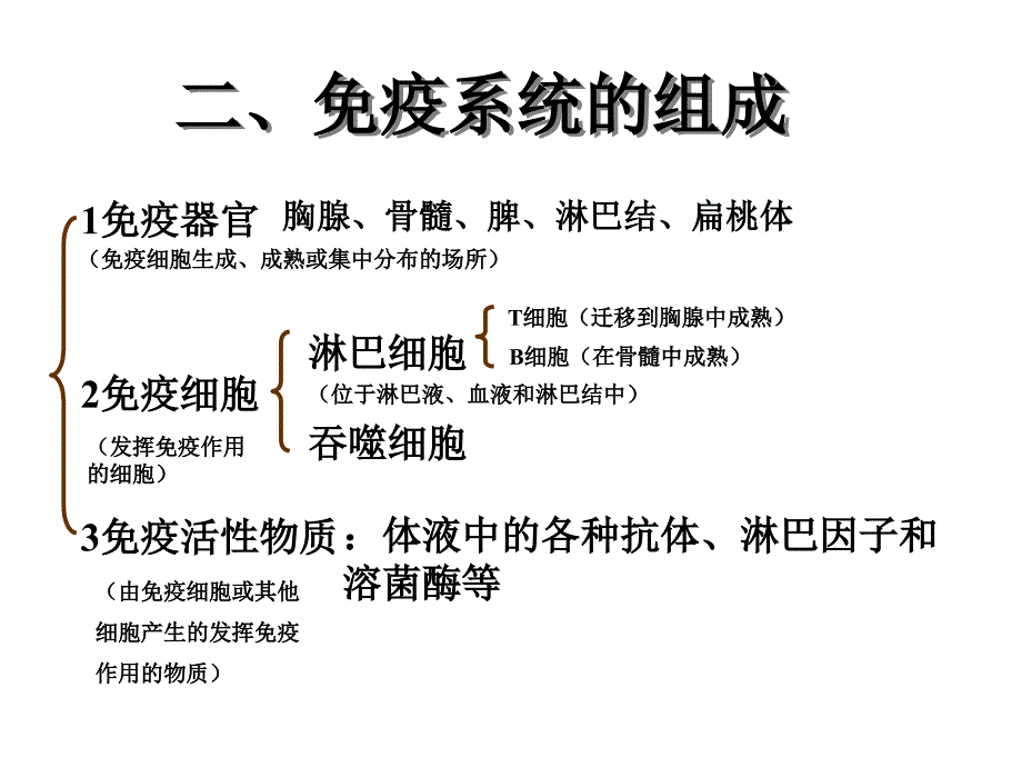 2-4免疫调节课件（共39张PPT）_第3页