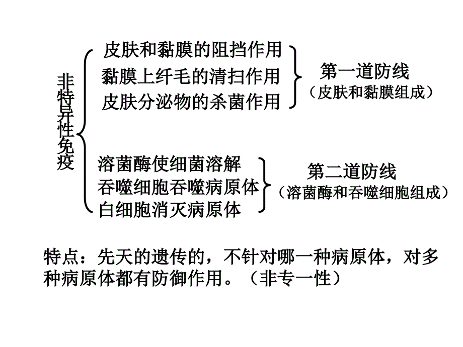 2-4免疫调节课件（共39张PPT）_第4页