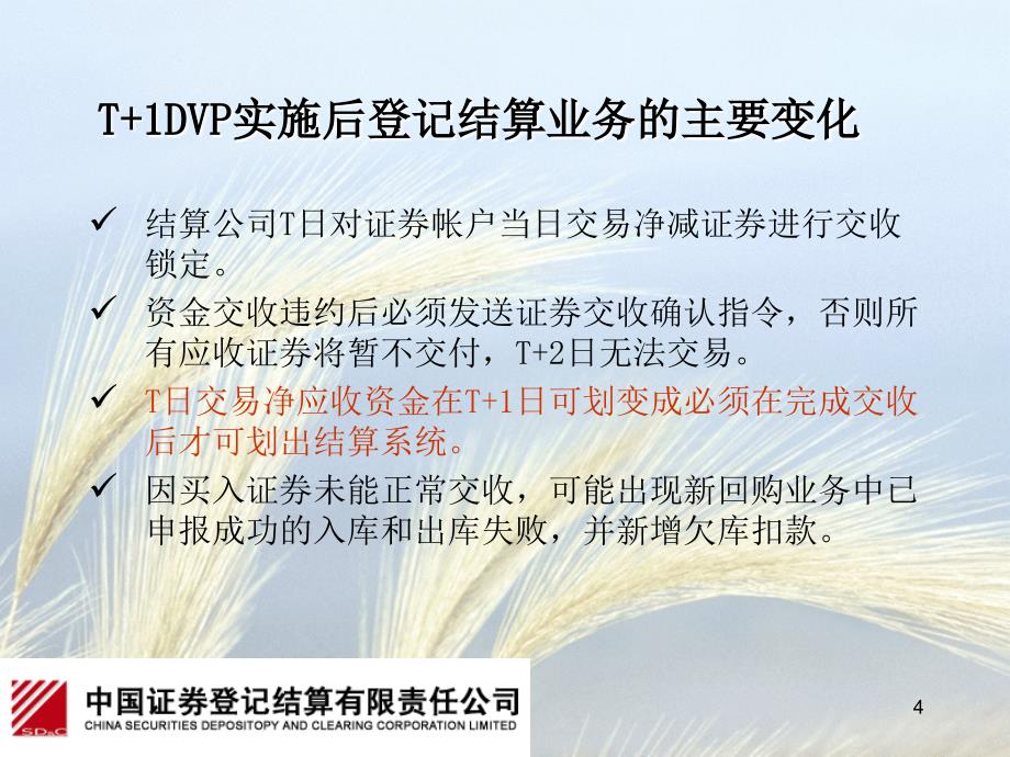 课件上海DVP业务介绍说明_第4页