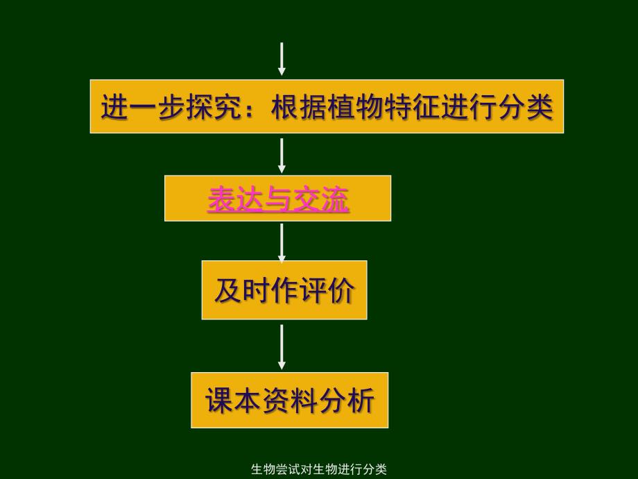 生物尝试对生物进行分类课件_第3页