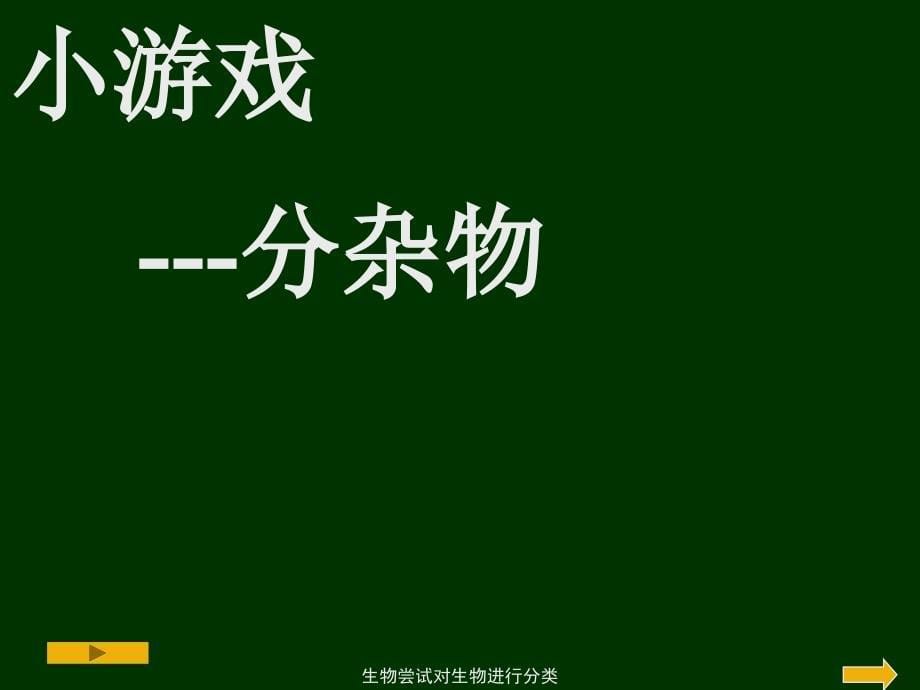 生物尝试对生物进行分类课件_第5页