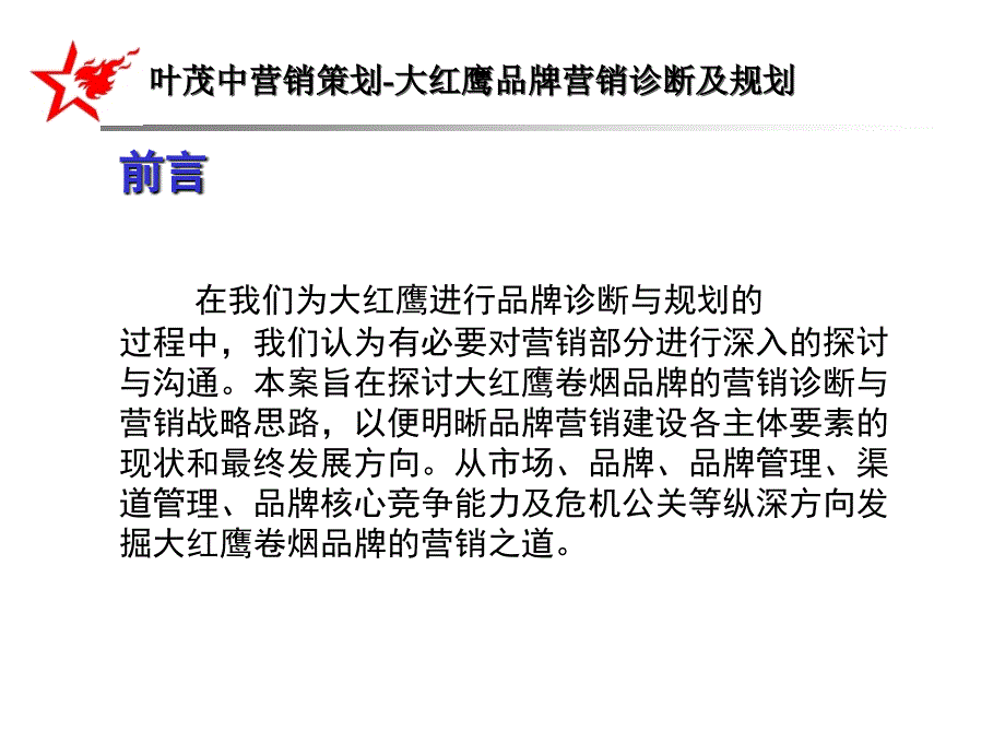 叶茂中营销策划红鹰品牌营销诊断及规划_第3页