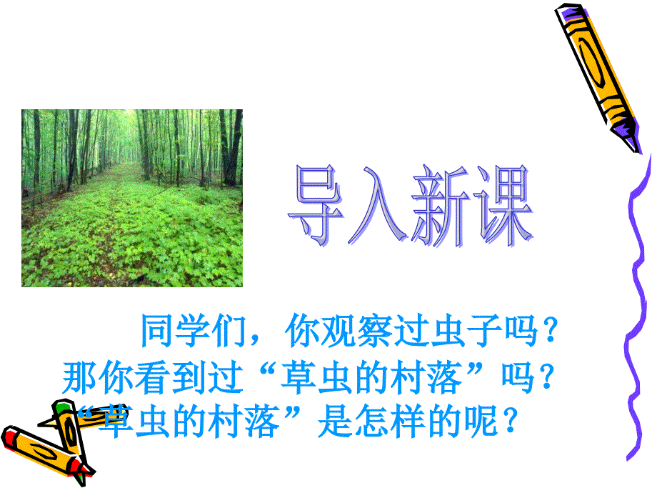 3草虫的村落课件_第2页