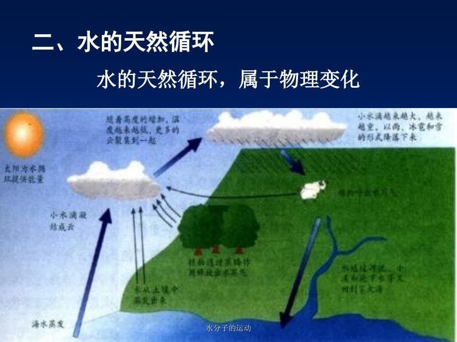 水分子的运动课件_第5页