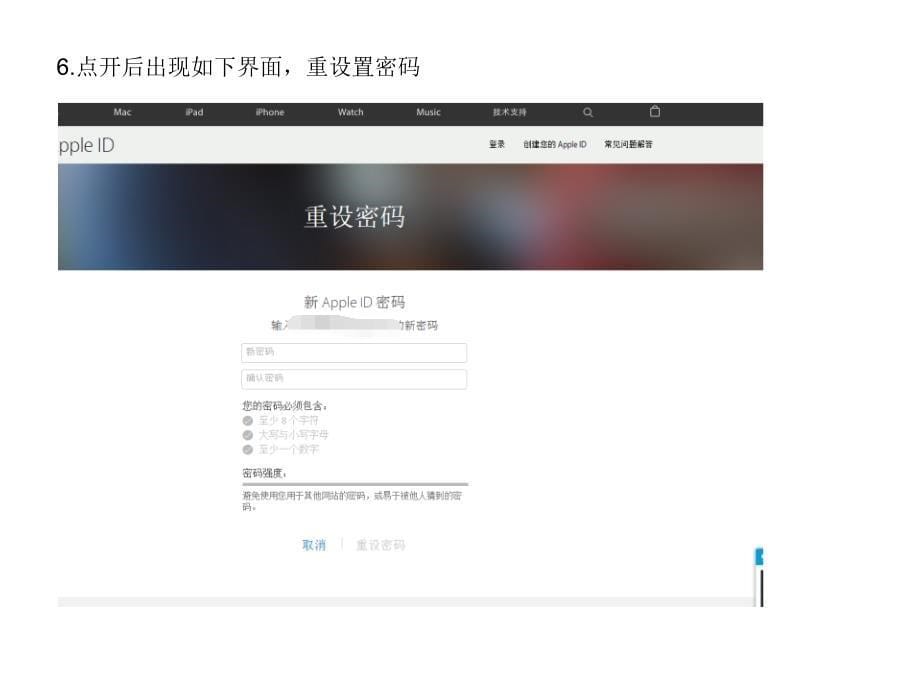 苹果AppleID密码重设置教程_第5页