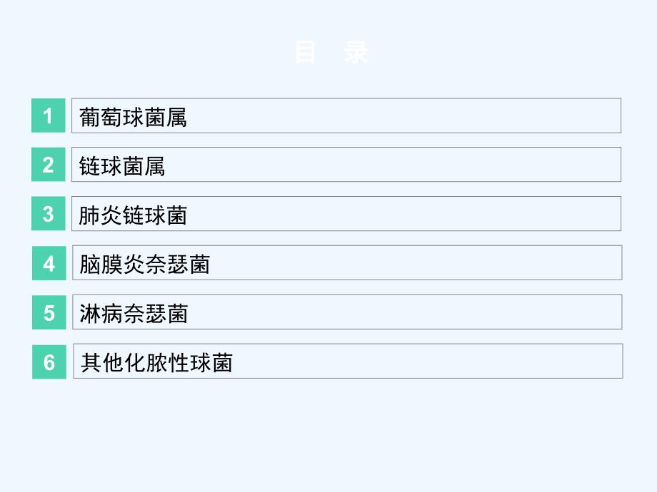 化脓性球菌医学ppt课件_第2页