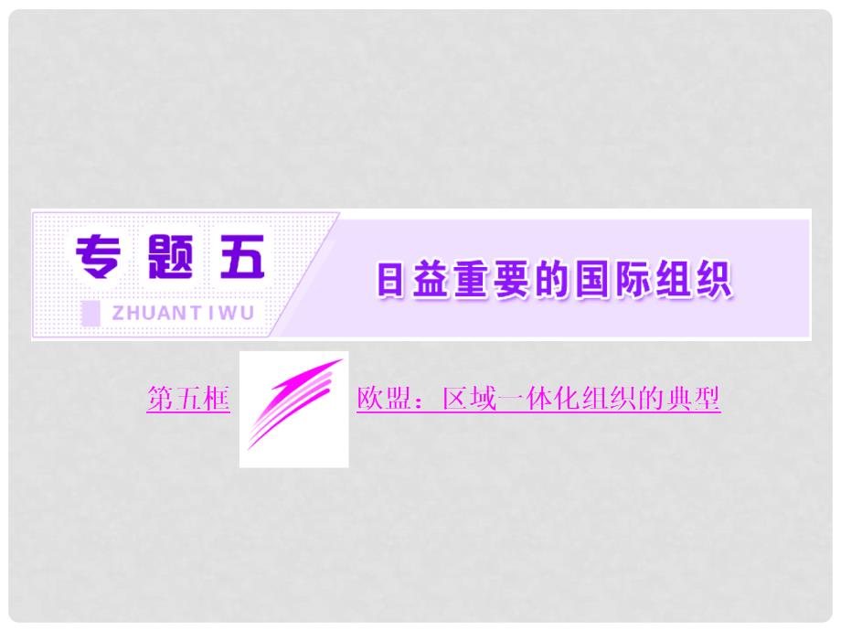 高中政治 专题五 日益重要的国际组织 第五框 欧盟：区域一体化组织的典型课件 新人教版选修3_第2页