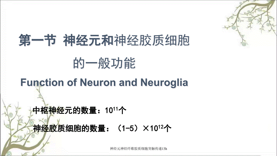 神经元神经纤维胶质细胞突触传递13h_第4页