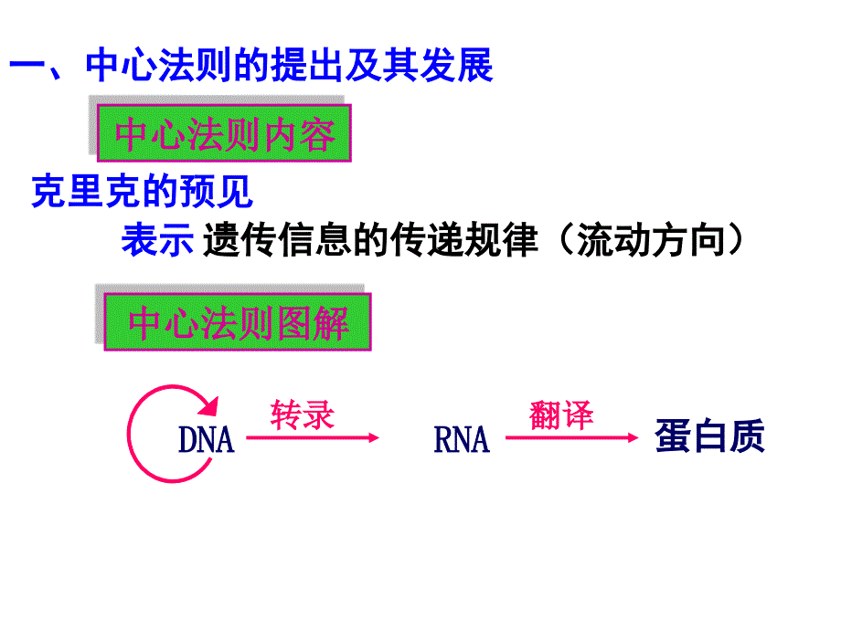 人教版高中生物必修4.2基因对性状的控制课件_第3页