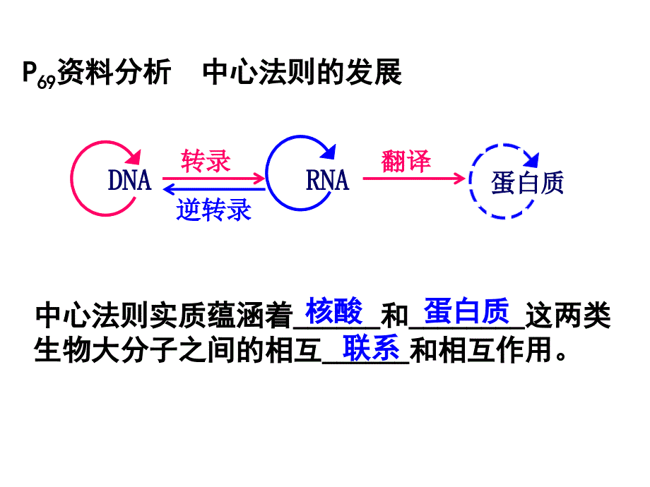 人教版高中生物必修4.2基因对性状的控制课件_第4页