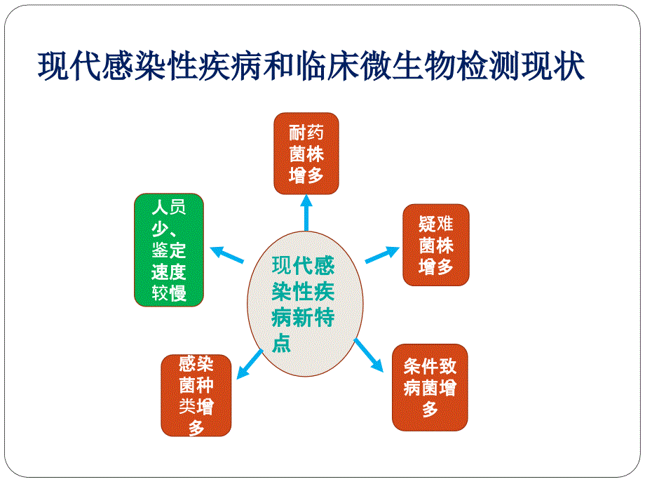 临床微生物质谱鉴定技术及其应用初探_第2页