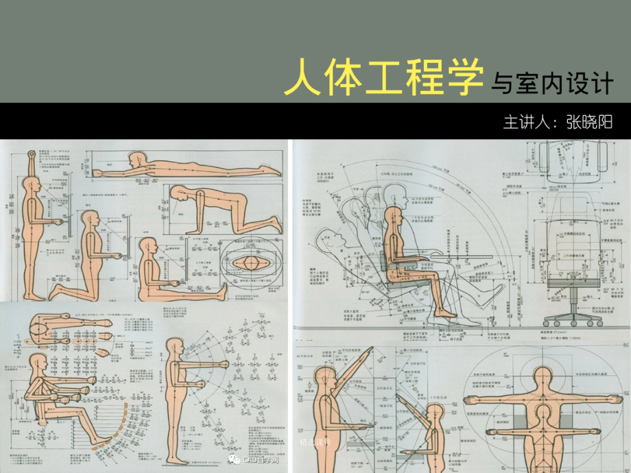 人体工程学课件_第1页