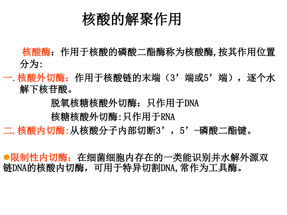 第33章核酸的降解和核苷酸代谢_第4页