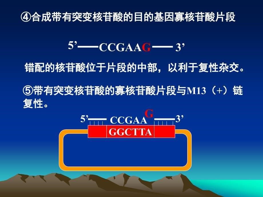 第十章基因工程的应用_第5页