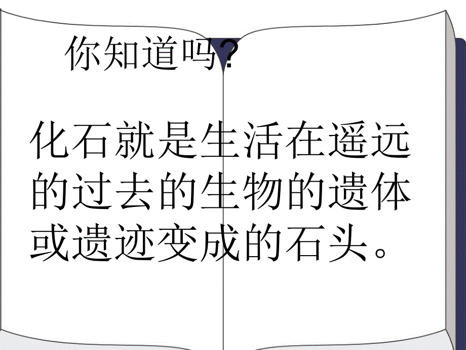 33_活化石 (4)_第2页