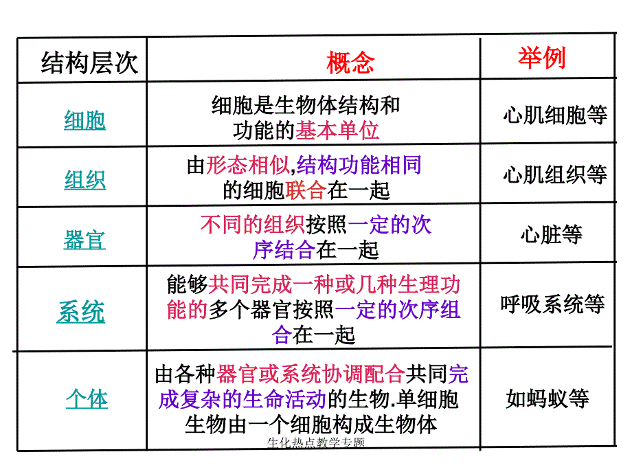 生化热点教学专题课件_第3页