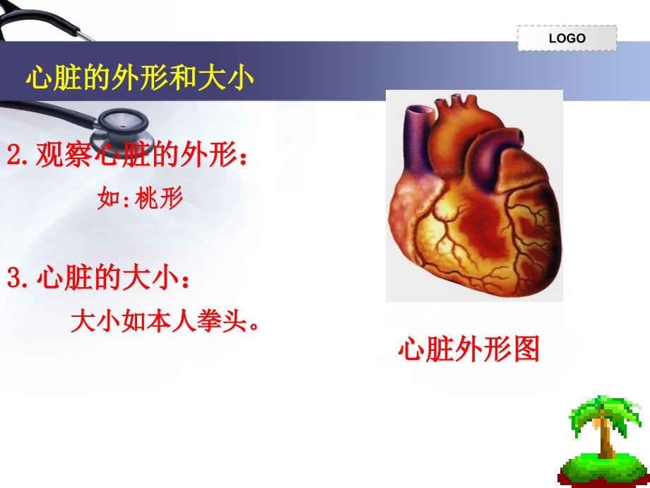 输送血液的泵心脏课件.ppt_第4页