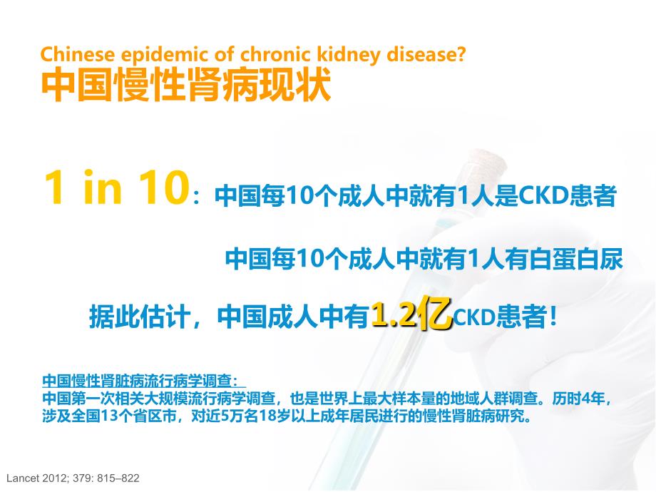 延缓慢性肾脏病进展对策ppt课件_第2页