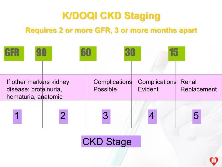 延缓慢性肾脏病进展对策ppt课件_第5页