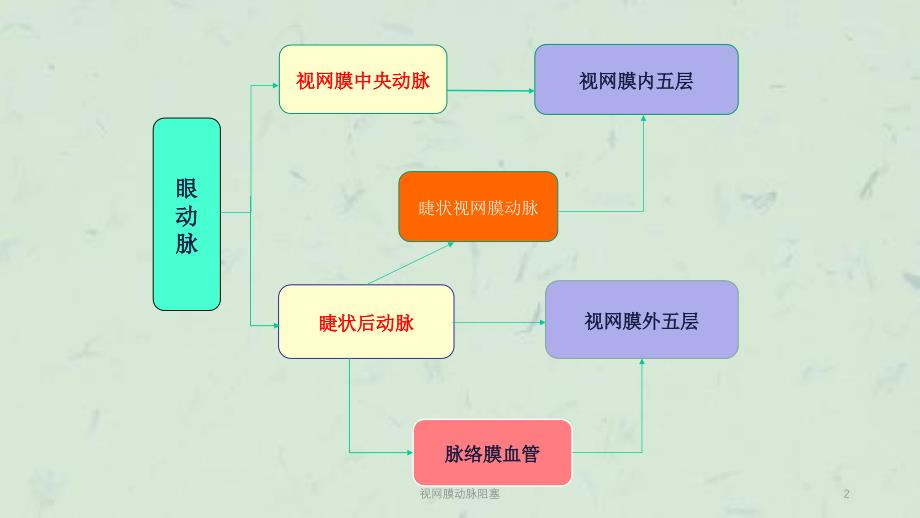 视网膜动脉阻塞课件_第2页