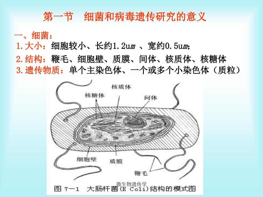 微生物遗传学课件_第3页