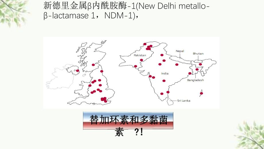 内酰胺类ppt课件_第4页