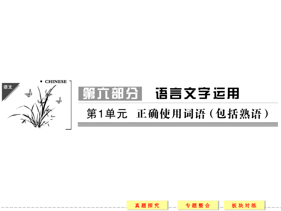 语言文字的正确使用.ppt_第1页