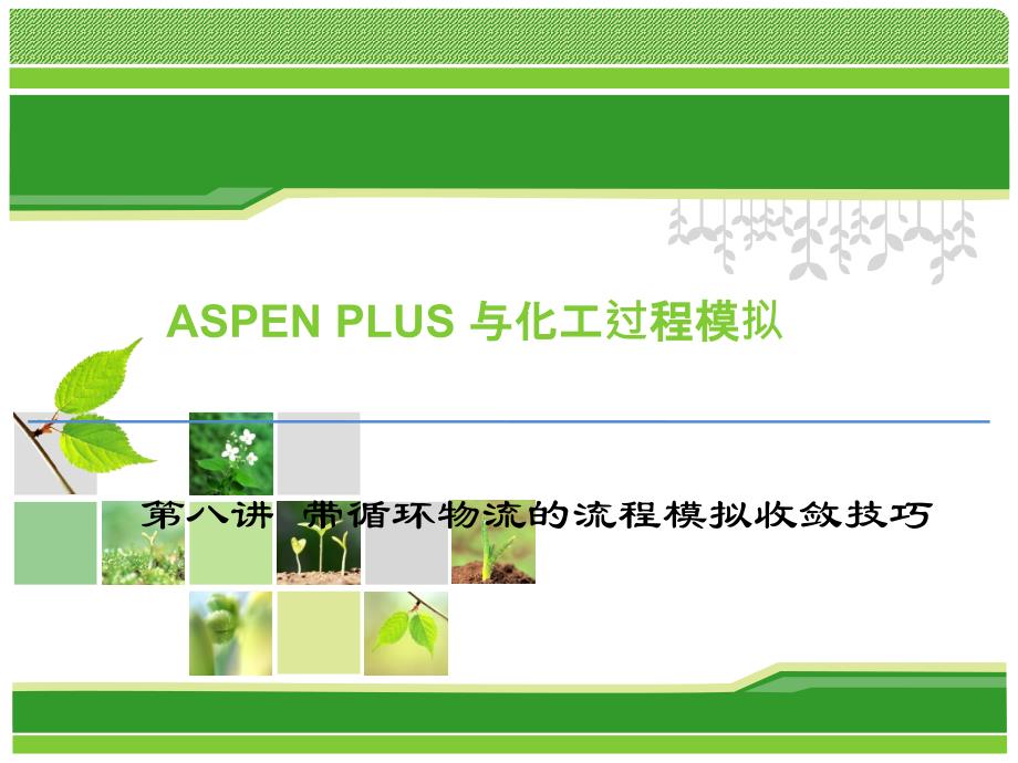 第八讲带循环物流的流程模拟收敛技巧PPT课件02_第1页