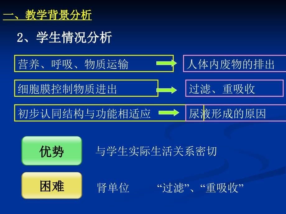 人体内废物的排出尿的形成和排出_第5页