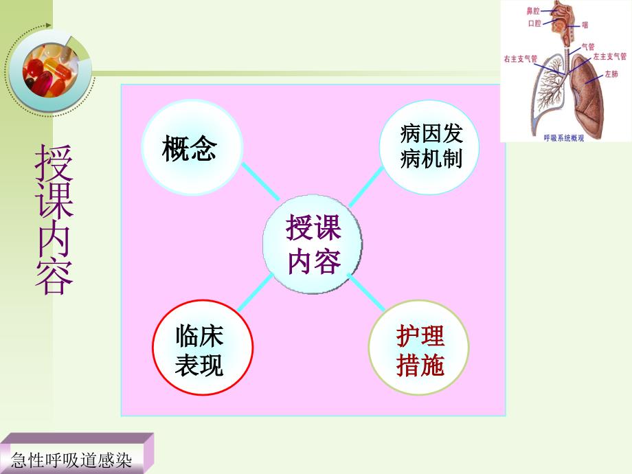 急性上呼吸课件_第2页