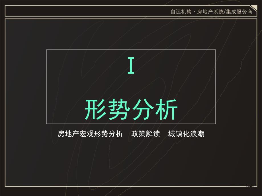 四川眉山市仁寿外滩项目全程营销体系构建(终极版)_第4页