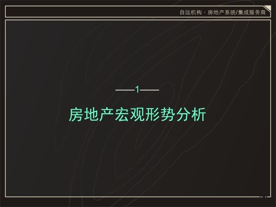 四川眉山市仁寿外滩项目全程营销体系构建(终极版)_第5页