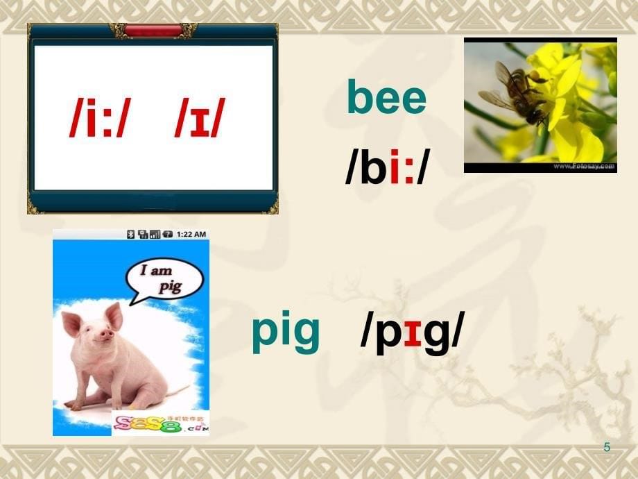 小学英语国际音标课堂PPT_第5页