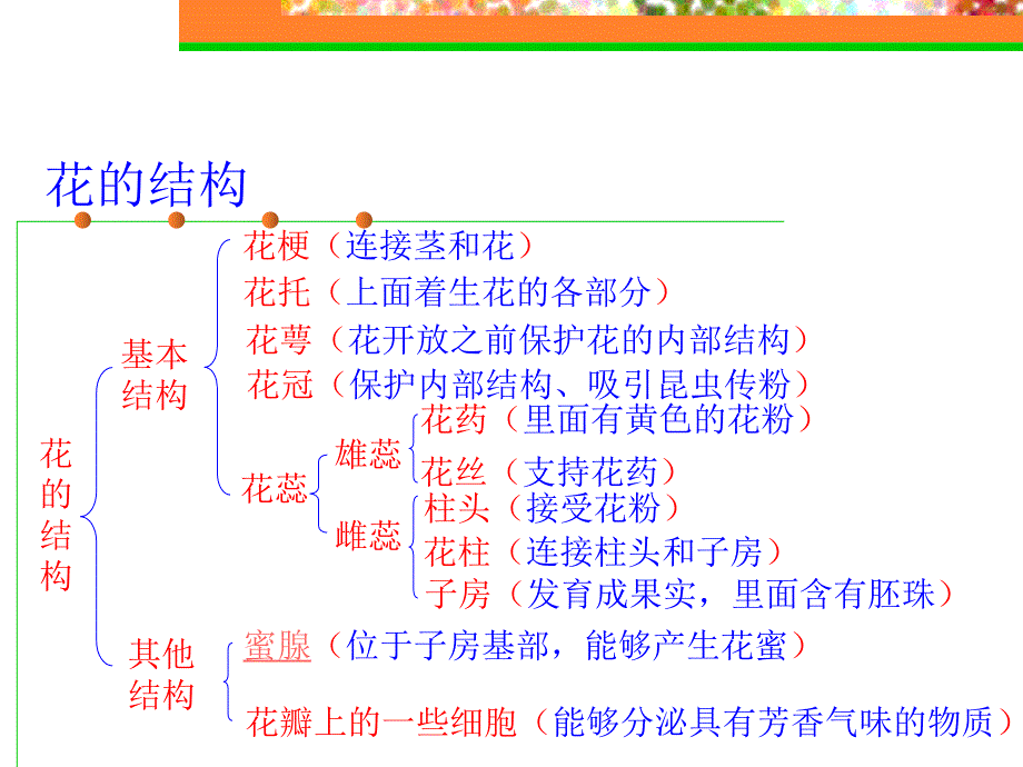 初一花的结构和花序_第4页