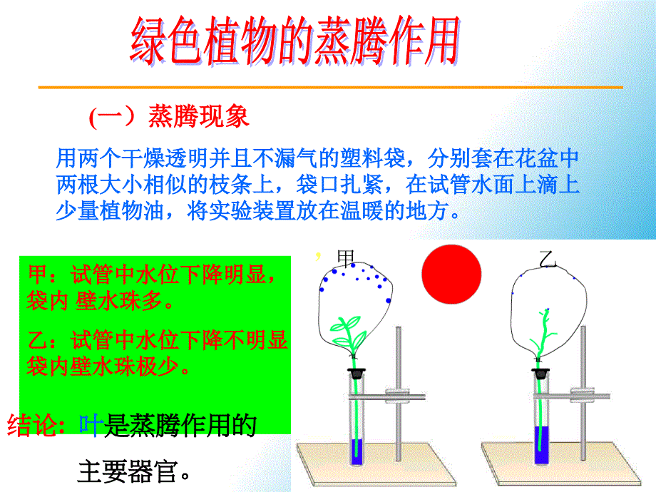 医学课件第二单元第一章生物圈中的绿色植物复习1_第4页