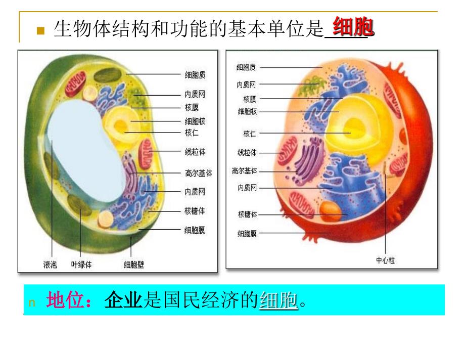 10公司的经营_第3页