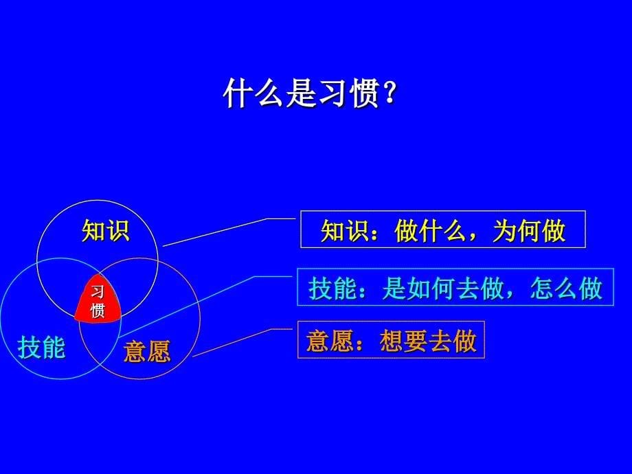 创新终极领导力_第5页