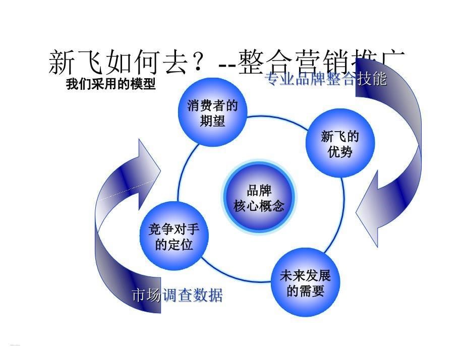 PPT模板之嘉起文-新飞冰箱.ppt_第5页