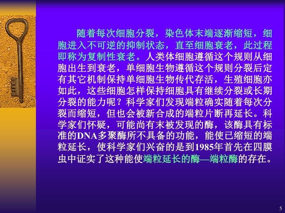 端粒端粒酶的研究进展PPT精选文档_第5页