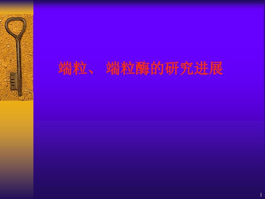 端粒端粒酶的研究进展PPT精选文档