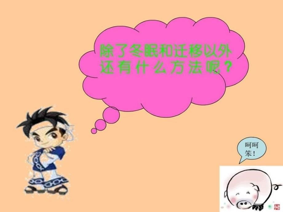 小动物怎样过冬课件.ppt_第5页