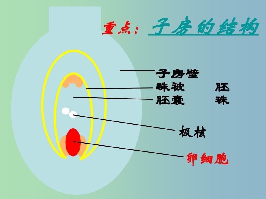 八年级生物下册 7.1.1 植物的生殖课件 新人教版.ppt_第5页