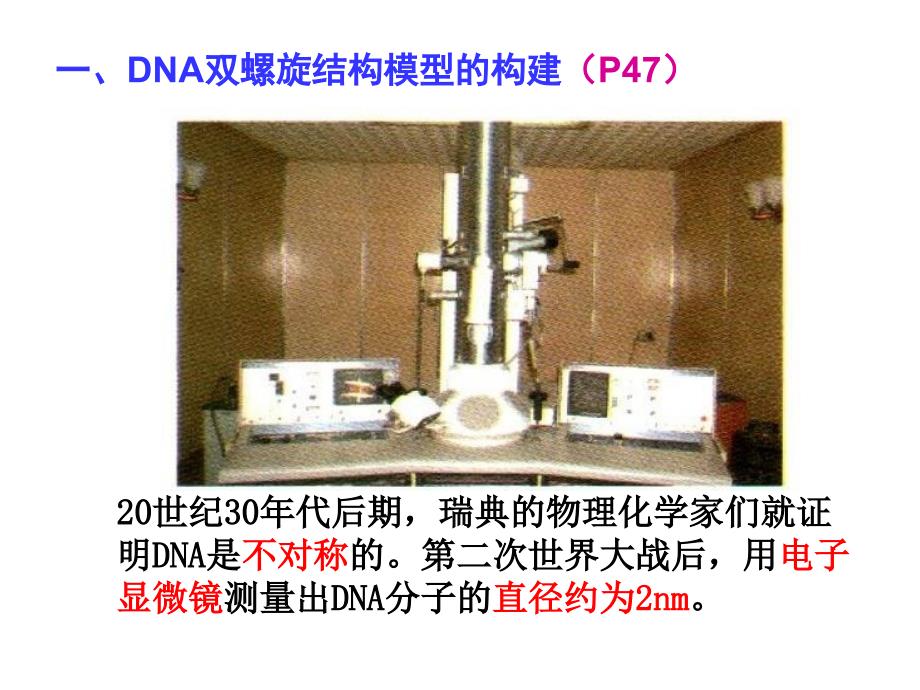 232DNA分子的结构_第2页