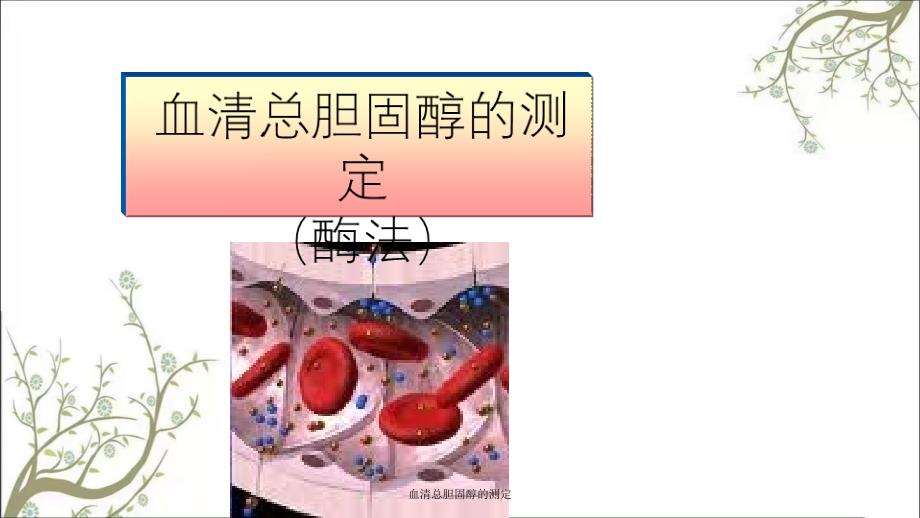 血清总胆固醇的测定_第1页
