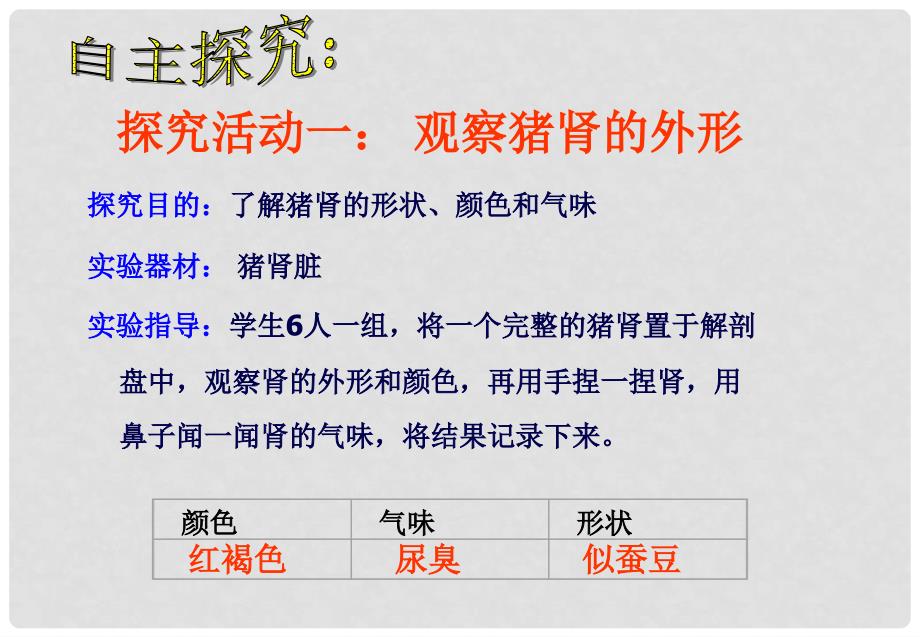 云南省西盟佤族自治县第一中学七年级生物下册《1.1.1 人体泌尿系统的组成》课件（1） 苏教版_第4页