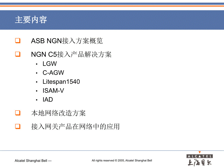 NGN建设本地网的接入方案——上海贝尔_第2页