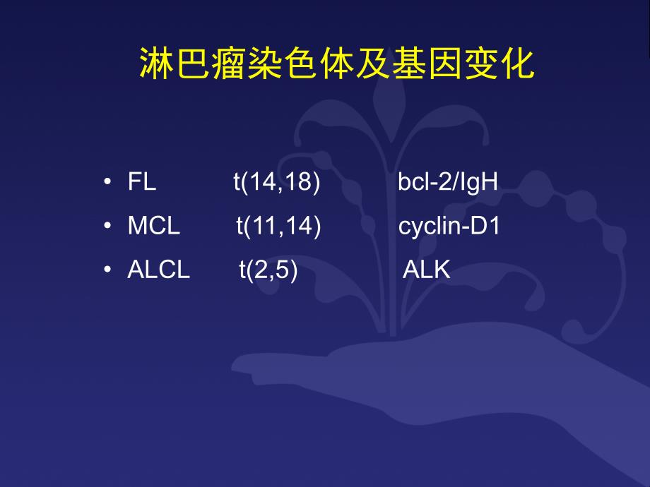 B细胞淋巴瘤诊疗规范_第3页