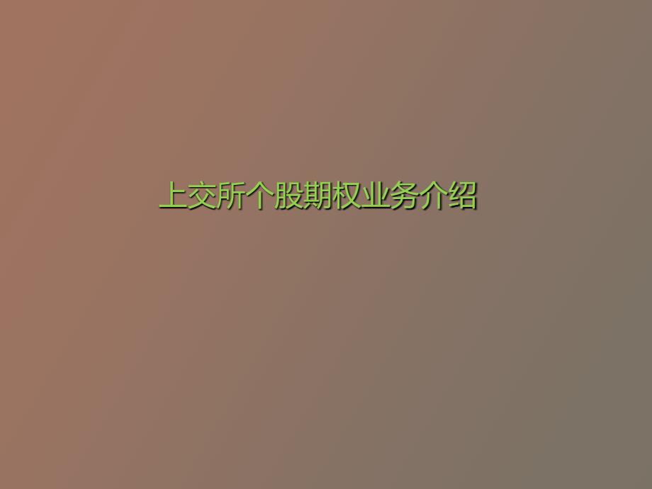 个股期权简要_第1页