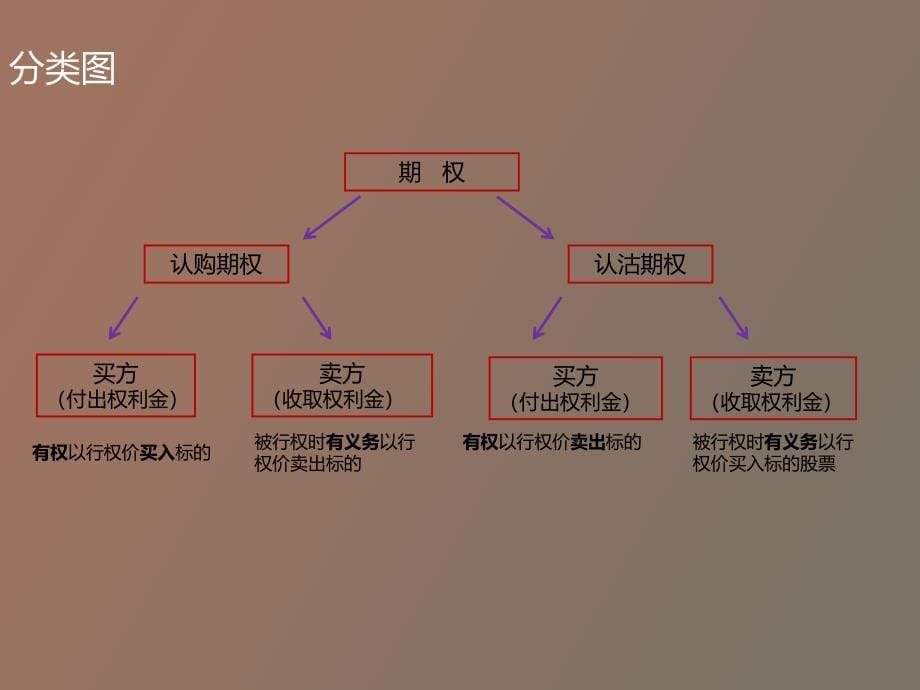 个股期权简要_第5页