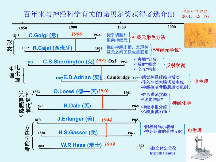 神经生物学第一章_第3页